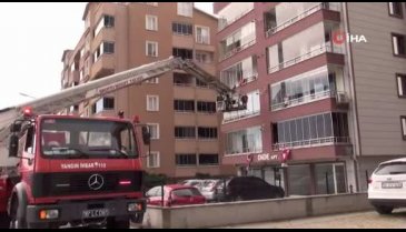 Bursa'da 6 aylık kedi 40 metrelik merdivenle kurtarıldı