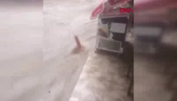 Bursa'da sel sularının sürüklediği kadın son anda kurtarıldı -3