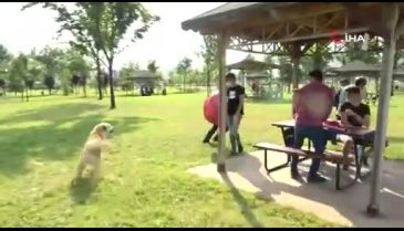 Bursa'da korona virüs kılığına giren ünlü tiyatrocuyu köpek kovaladı