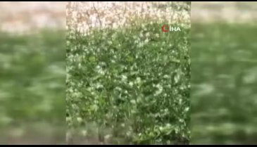 Bursa İznik'te önce dolu ardından sel