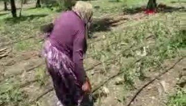 Bursa'da ekili arazisini sel vurunca gözyaşı döktü