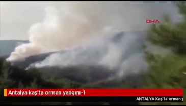 Kaş'ta yanan ormanlık alanın imara açıldığı iddiaları yalanlandı