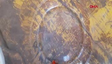 Bursa'da zehirli 'uğur böceği örümceği' şaşırttı