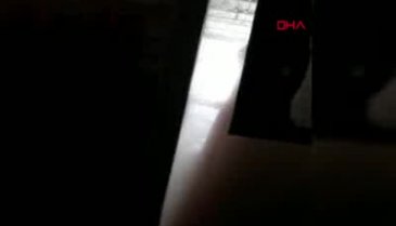 Oto yıkamacıda yavru köpeğe işkence