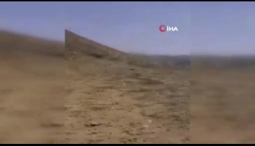 Suudi Arabistan'da çekirge istilası panik yarattı