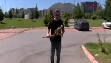 Evinin bodrumunda bulmuştu! Ne olduğu ortaya çıktı