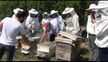 Bursa'da arıların içine girdiler, eğitimi hem teorik hem pratik yaptılar