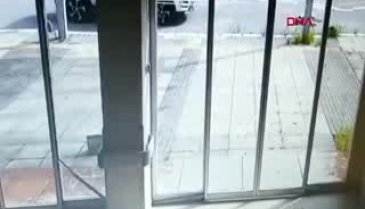 Köpeği ezip kaçan doktordan şikayetçi oldu! "Ceza almasını istiyorum"