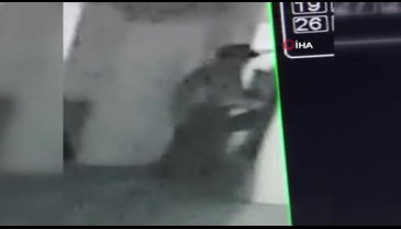 Tarihi caminin musluklarını çaldılar