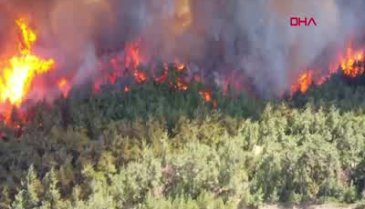 Çanakkale'de orman yangını