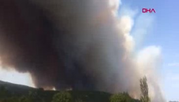 Çanakkale'de orman yangını -2