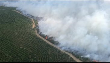 Çanakkale'de orman yangını -3