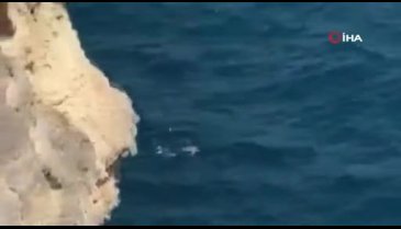 İddia için 40 metreden denize atladı, hayatını kaybetti