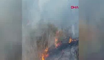 Bursa'da korkutan yangın