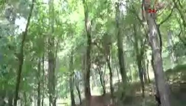 Bursalılar, İnkaya Mesire Yeri'nde nefes alacak