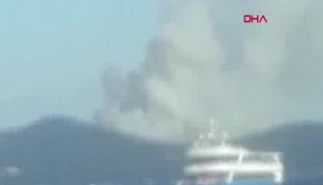 Heybeliada'da orman yangını
