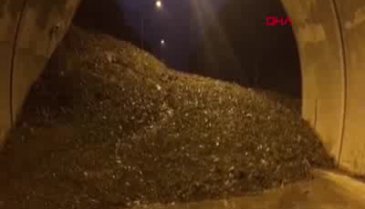 Artvin-Erzurum karayolu heyelan sonucu ulaşıma kapandı