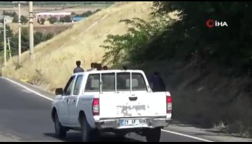 'Banker Bilo' filmi gerçek oldu! Umut yolculuğu son buldu
