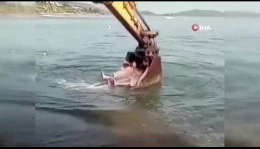 Bodrum'da kepçeli deniz keyfi