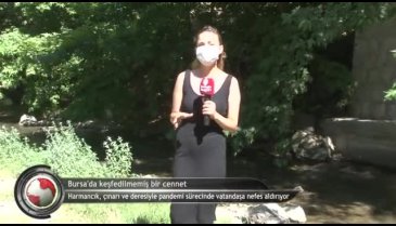 Bursa'da pandemi günlerine nefes almak için gizli bir cennet! Elle balık tutuluyor (ÖZEL HABER)