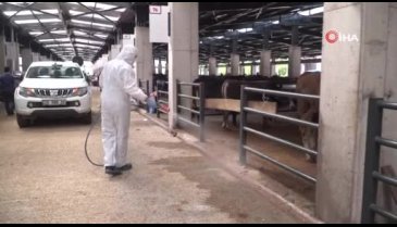 Bursa'da kurban satış yerleri sineklere karşı ilaçlandı