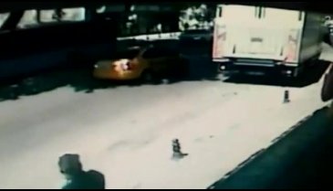 Çınar ağacı kamyonun üzerine devrildi