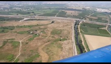 Bursa'da fındık tarlasında esrar ele geçirildi