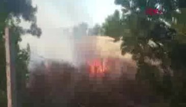 Bursa Paşaçiftliği'nde korkutan yangın