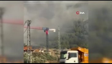 İzmir'de orman yangını