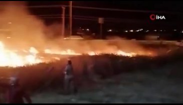 Balıkesir'de ot yangını bir anda büyüdü