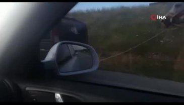 Bursa'da atı araca bağlayıp kilometrelerce çekti!