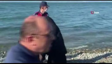 Bursa İznik Gölü'nde can pazarı!