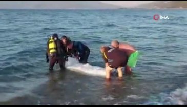 Bursa İznik Gölü'nde can pazarı! -2