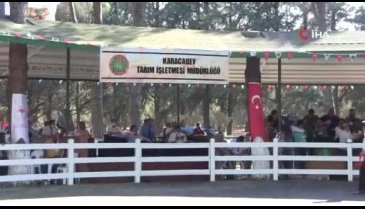 Bursa'da yarış tayları ev fiyatına alıcı buldu