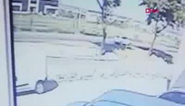 Bursa'da hafif ticari aracın sürücüsünün yaralandığı kaza kamerada
