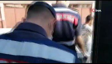 Bursa'da bin 500 kök kenevir ele geçirildi! 1 gözaltı