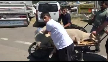 Bursa'da arife günü kurban pazarlarında hareketlilik var