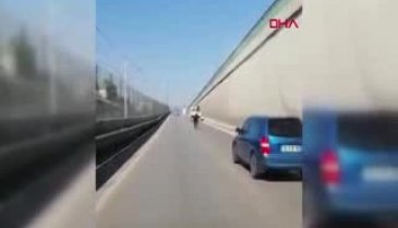 Bursa'da kaçan boğa, trafikte sürücülere zor anlar yaşattı