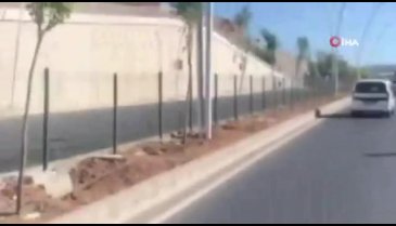 Kaçan boğa sahibini yol ortasında yere serdi