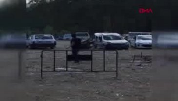 Kesime götürülen boğa çıldırdı!