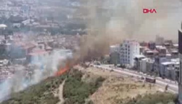 İzmir'de orman yangını!