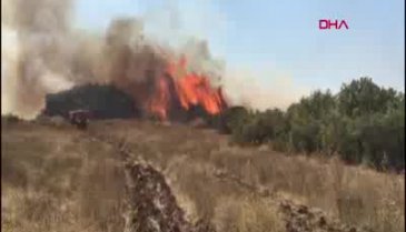 Bursa'da makilik ve ormanlık alanda yangın -2