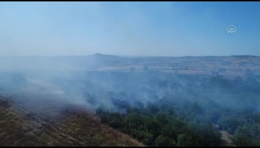 Bursa'da makilik ve ormanlık alanda yangın (drone)