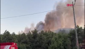 Kayışdağı ormanında yangın