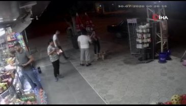 Sokak kedisi 2 köpeğe saldırdı