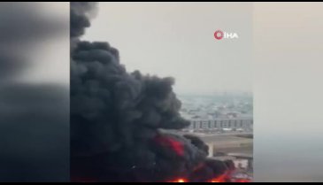 Birleşik Arap Emirlikleri'nde korkutan yangın