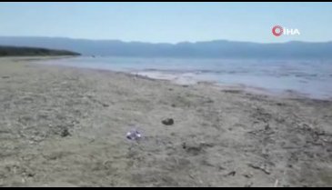 Bursa İznik Gölü'nde korkutan görüntü