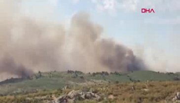 Bulgaristan sınırında yangın