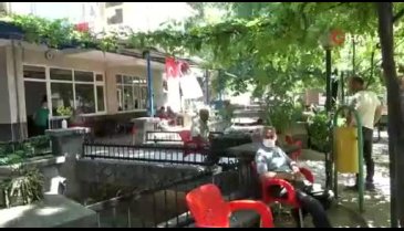 Bursa'da hem gölgesinden hem de meyvesinden faydalanıyorlar