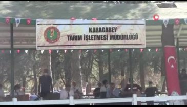Bursa'da araba fiyatına satılık tay podyumda bakıcısını böyle tepti